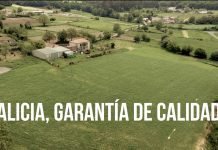 Se Sentes Galicia